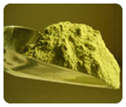 Poudre de Nopal