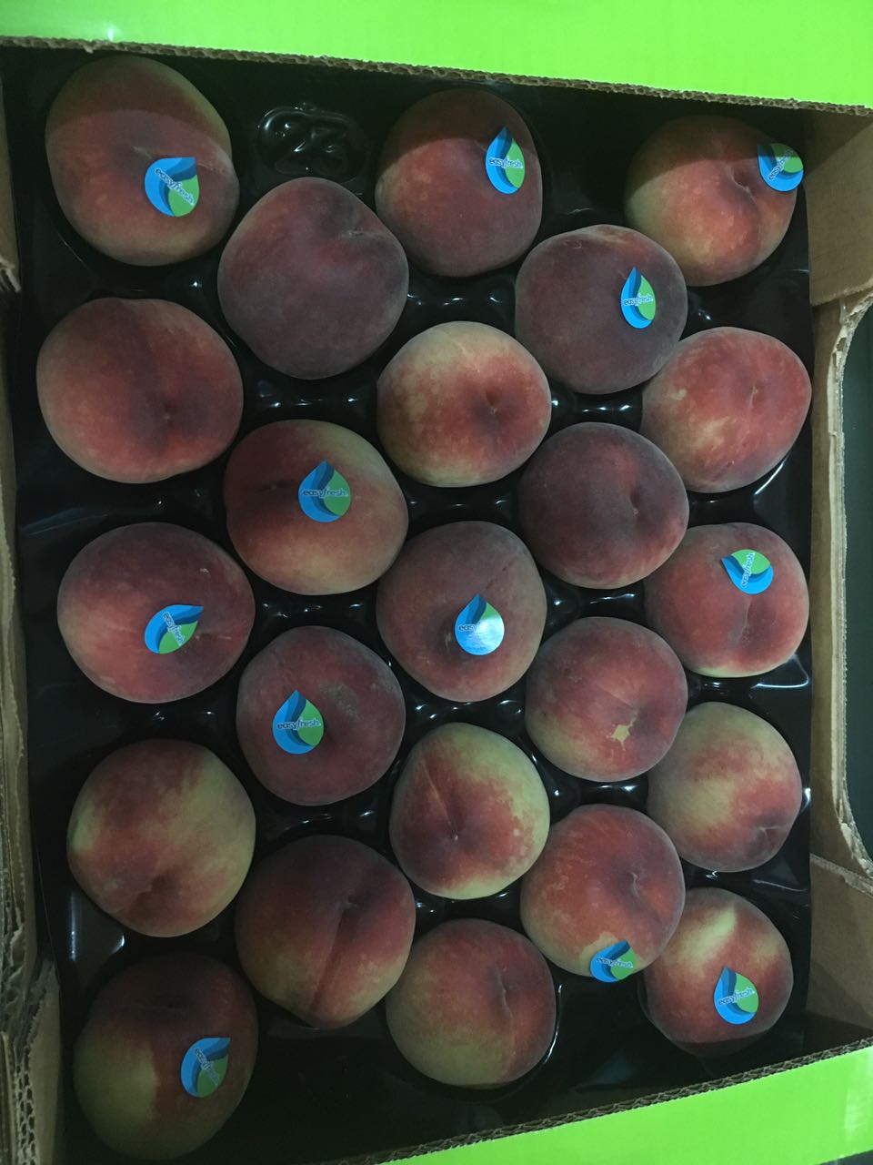 Figue de barbarie fraiche
