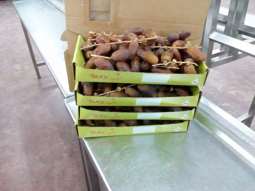 Figue de barbarie fraiche